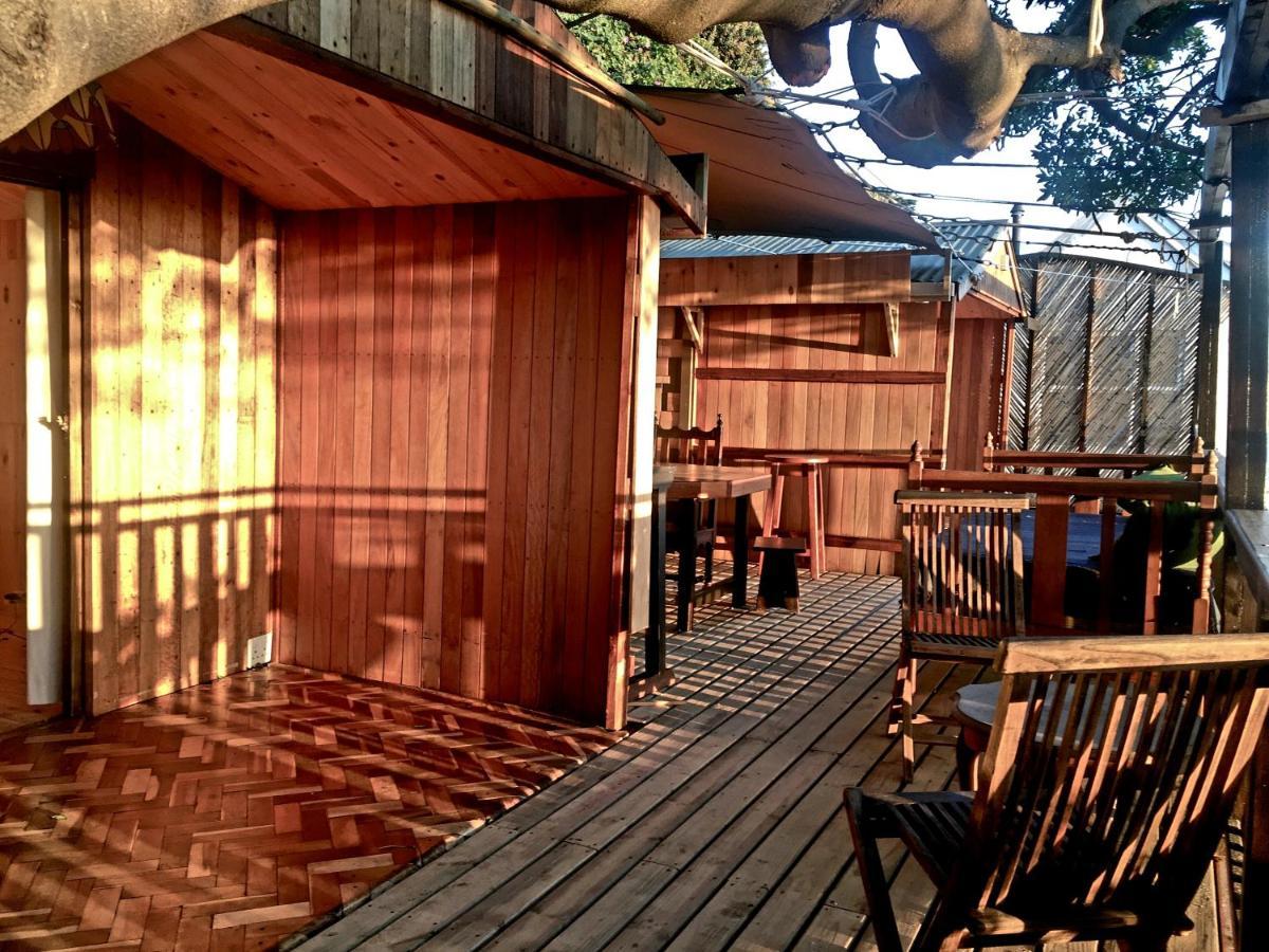 קייפטאון Scarborough Nature Lodge מראה חיצוני תמונה